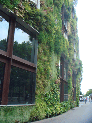 06155.gif