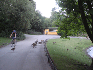 06213.gif
