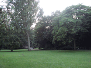 06214.gif