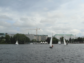 062391.gif