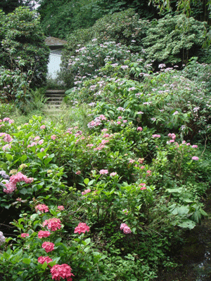 1107021.gif