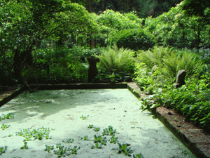 1107024.gif
