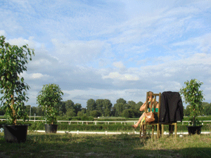 1107092.gif