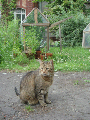 1107103.gif