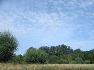1108103.gif