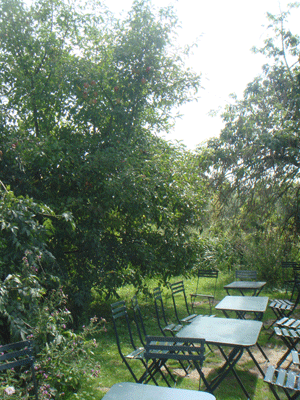 1108105.gif