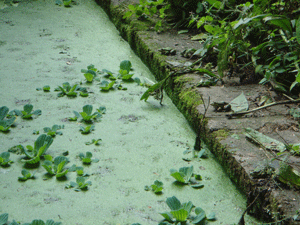 1108106.gif