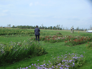 11081091.gif