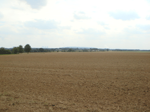 11081092.gif