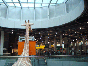 1108123.gif