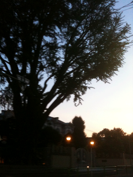 1108131.gif